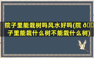 院子里能栽树吗风水好吗(院 🌾 子里能栽什么树不能栽什么树)
